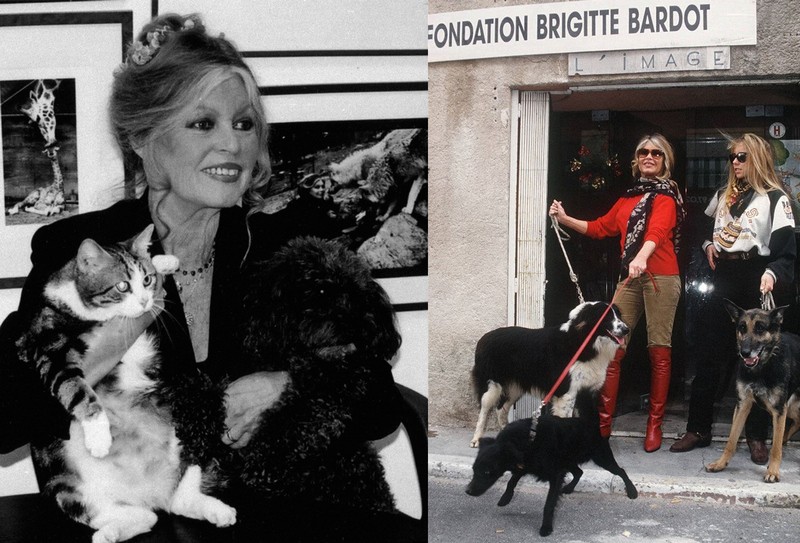Brigitte Bardot - ikona, ktorá zmenila predstavu o kráse.