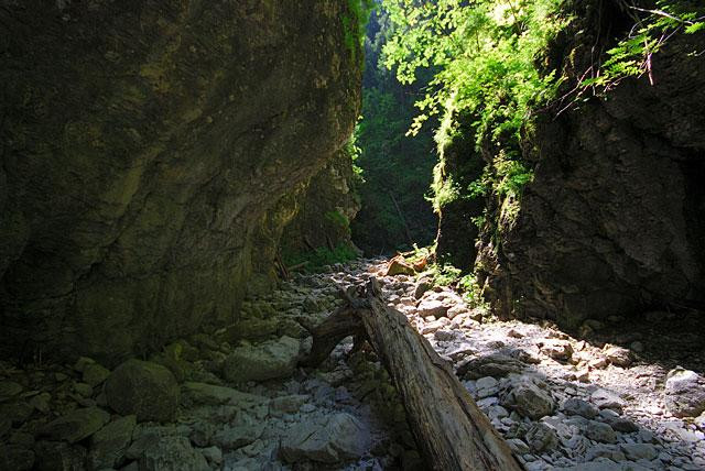 Galeria Polska - Tatry - Wąwóz Kraków, obrazek 9