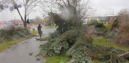 Będzie wiało! Nad Polskę nadciągają wichury