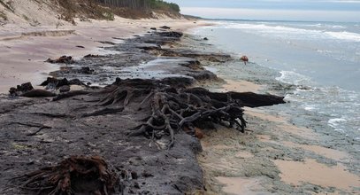 Nieoczekiwanie pojawił się na plaży w Łazach i może zniknąć w moment. Zjawisko, które przyciąga turystów