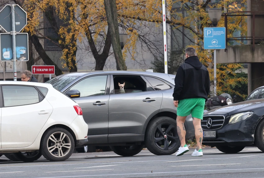 Kristijan Golubović paparaco