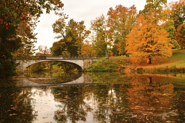 Hyde Park to jeden z najbardziej rozpoznawalnych parków miejskich