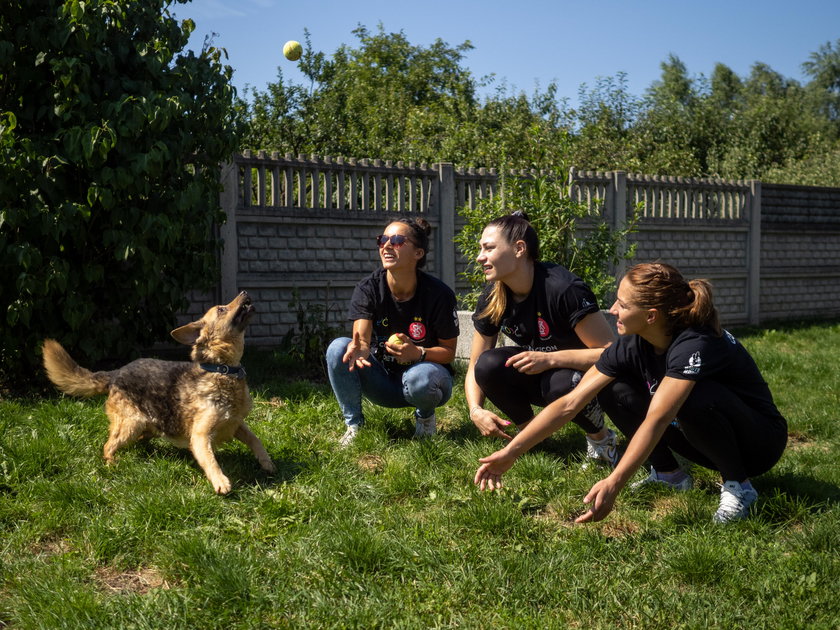 Siatkarki promują adopcje psiaków w schronisku