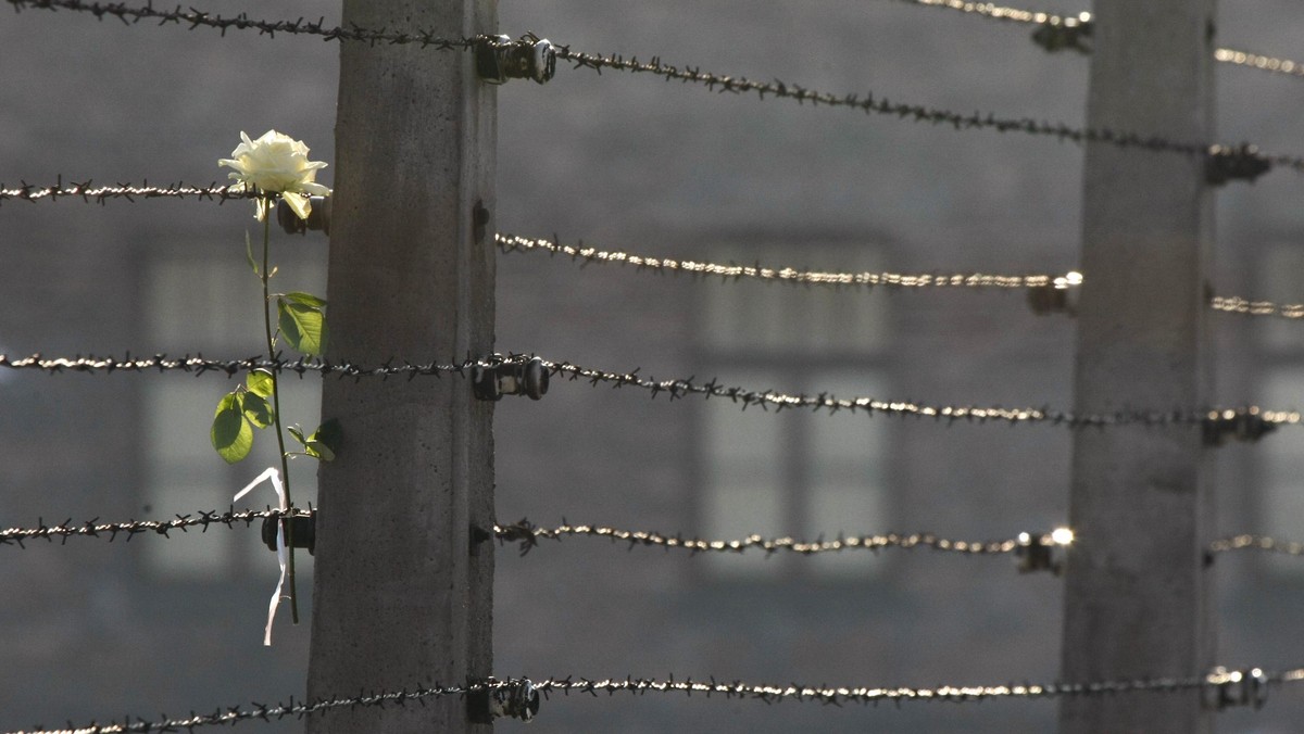 68. rocznica deportacji do niemieckiego obozu Auschwitz najliczniejszej grupy warszawiaków z ogarniętej powstaniem stolicy minie 12 i 13 sierpnia. W tych dniach przywieziono tam prawie 6 tys. osób. Do połowy września Niemcy uwięzili w obozie ok. 13 tys. warszawiaków.