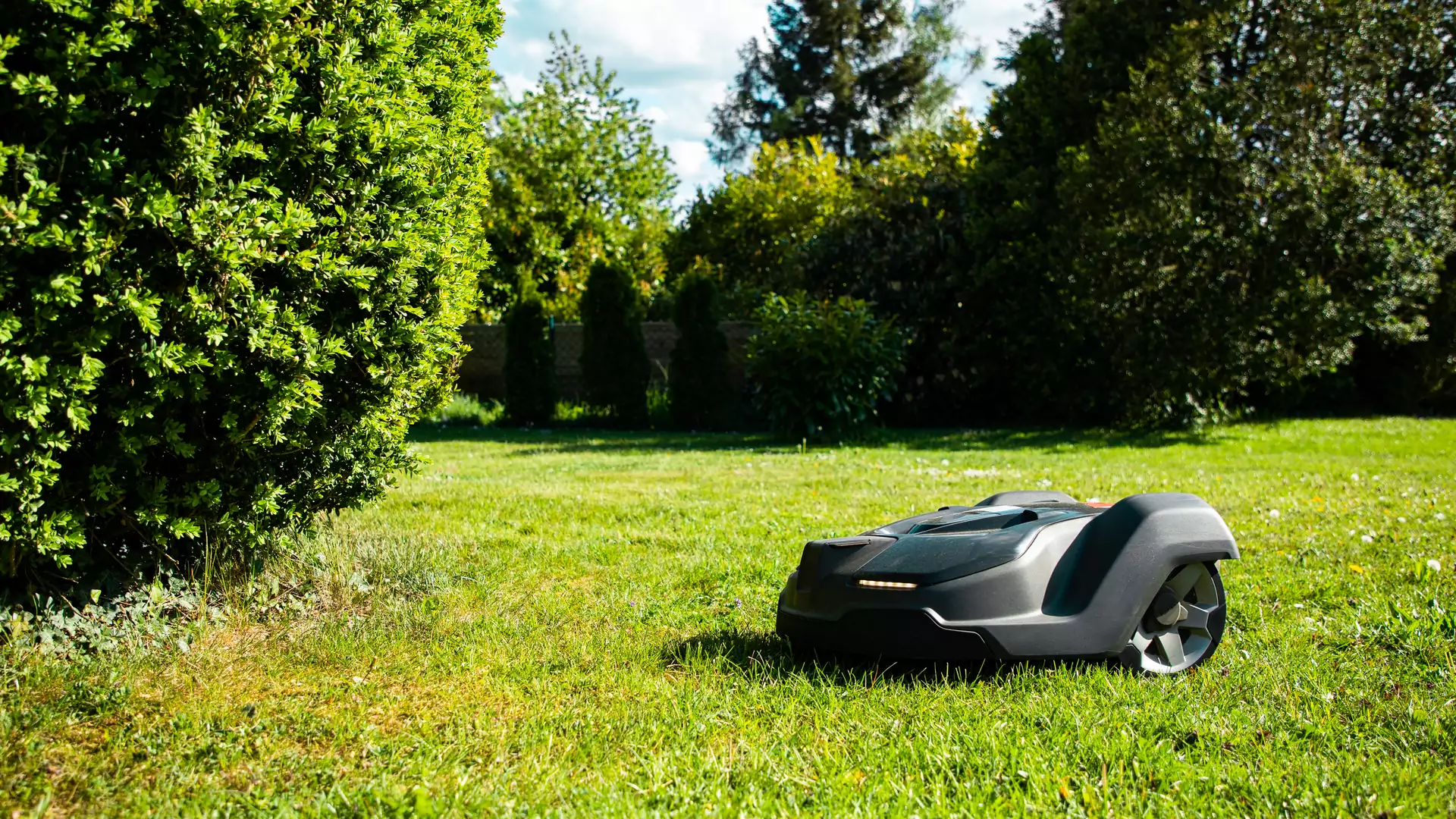 Automatyczna kosiarka — ten robot skosi trawę za ciebie