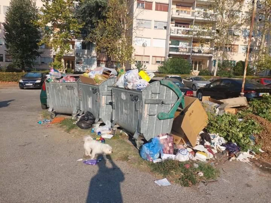 Jeziv prizor u Kragujevcu: Kontejneri prepuni smeća