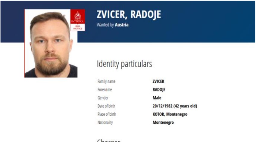 Radoje Zvicer