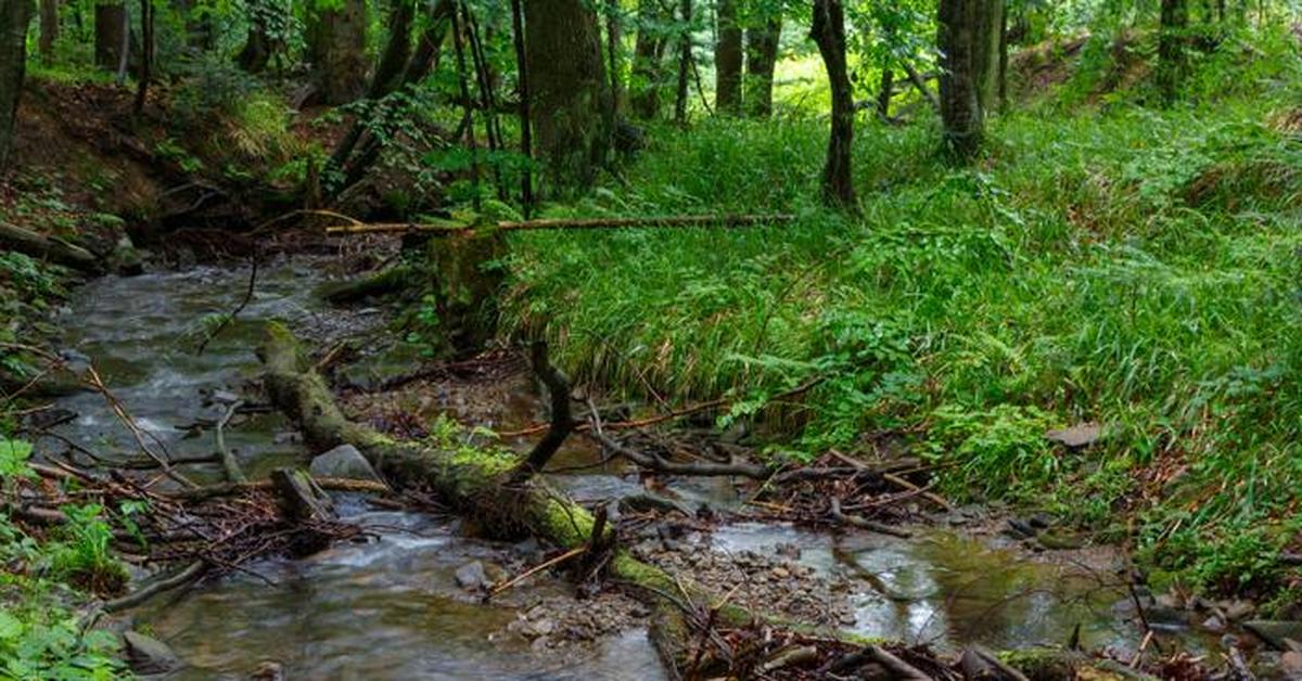  Nowe regulacje klimatyczne w UE: Polska nie zgadza się z większością