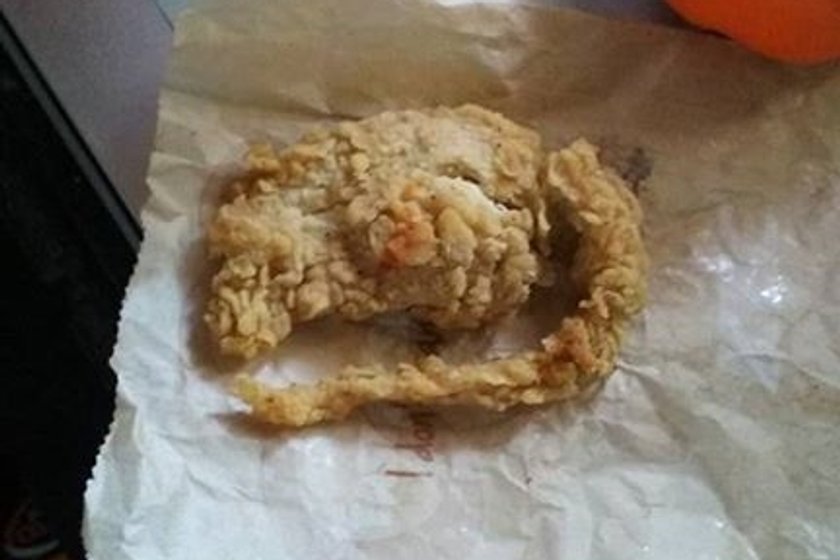 KFC serwuje szczura w panierce!