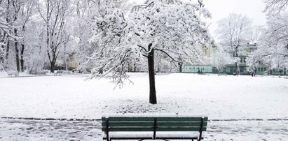 Powrót zimy w Polsce. IMGW wydał ostrzeżenia dla połowy kraju