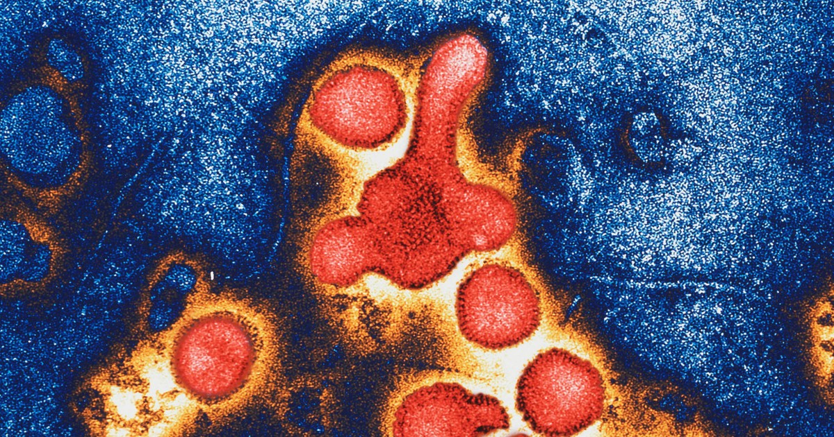 Udar bez nadciśnienia, zawał mimo zdrowej diety. Kardiolog ostrzega: ten parametr krwi trzeba zbadać