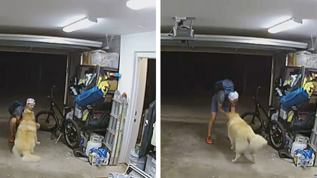 Ukradł rower, ale wrócił, by pogłaskać psa