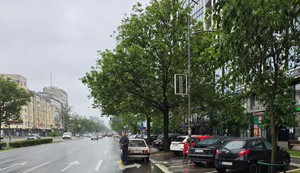 Pronađeno telo muškarca u kolima u Novom Sadu