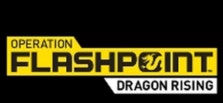 Operation Flashpoint: Dragon Rising bez DirectX 11