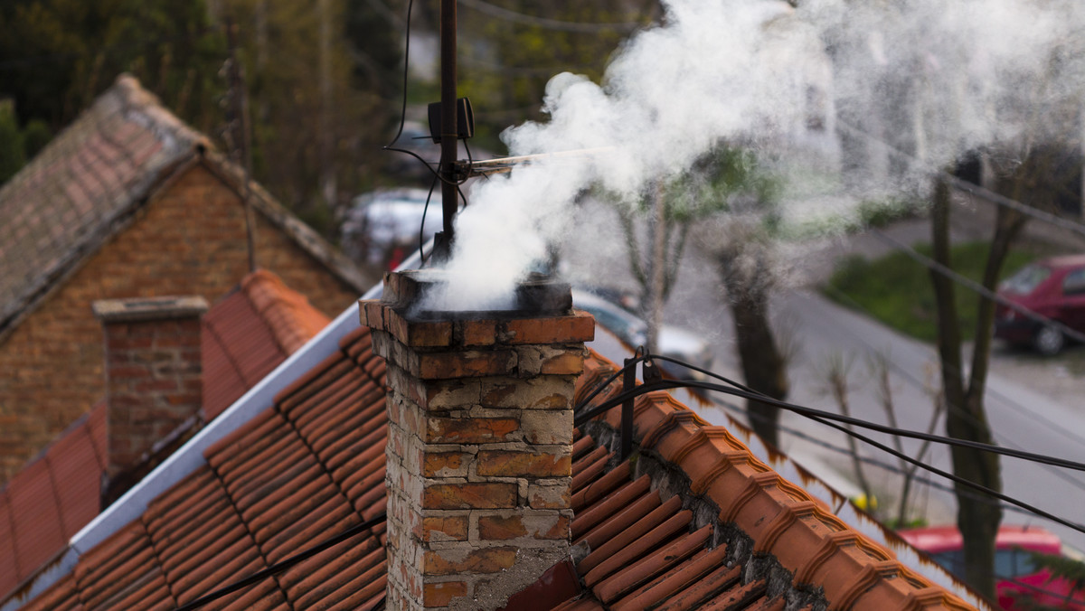 Walka ze smogiem. "Program Czyste Powietrze jest atrapą"