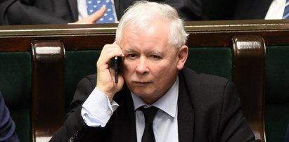 Ile lat ma Kaczyński i kto wydaje "Batmana", czyli prawda czy fałsz? QUIZ z "wiedzy ogólnej". 8/10 zakwalifikuje cię w poczet omnibusów