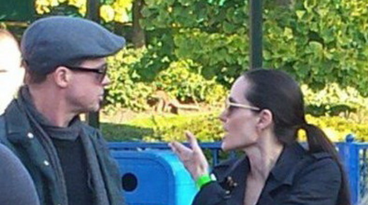 Jolie nem enged / Fotó: Profimedia-Reddot