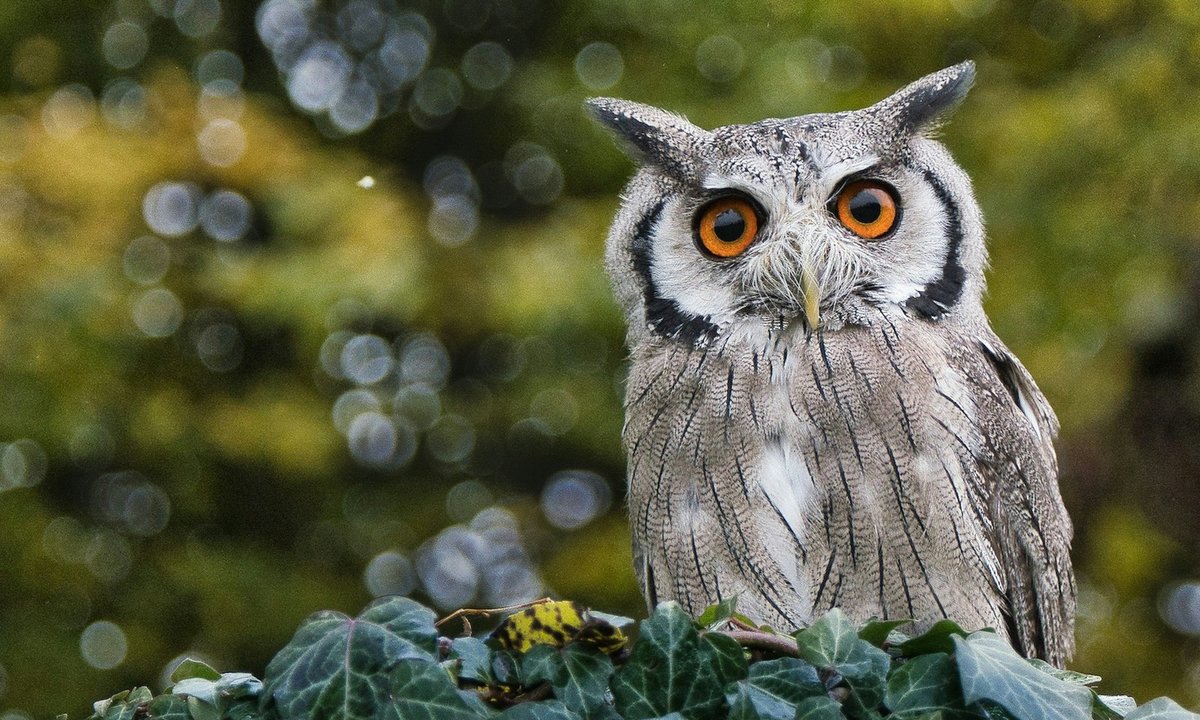 Ten quiz z podstawówki zawstydzi dorosłych. Skup się zanim zaczniesz