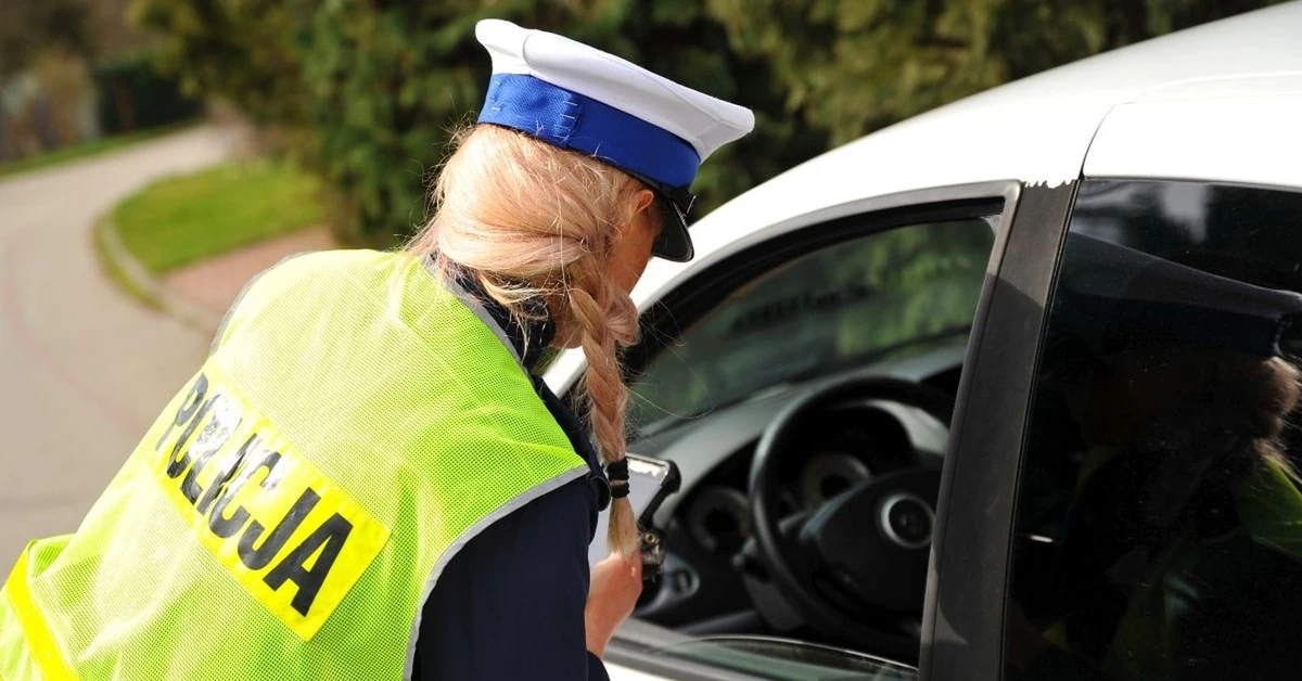 15 mln kierowców musi iść do urzędu. Ty też? Oto nowy obowiązek, podali daty