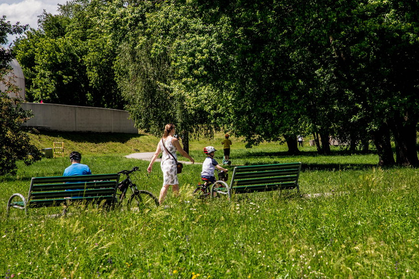 Staw w Parku Lotników w Krakowie