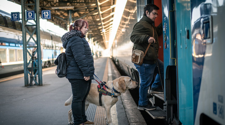 Pozsgay Dóra és párja, Dani, valamint segítő kutyájuk Noé a Pécs-Budapest vonalon utazott