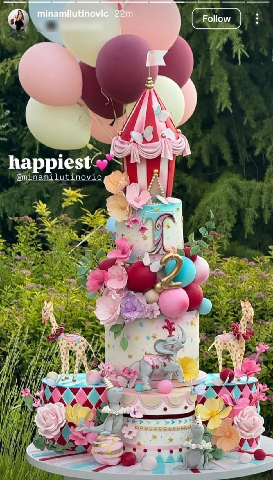 Drugi rođendan ćerke Nemanje Nedovića