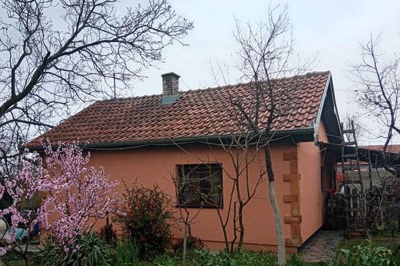 Milomir prodaje kuću i voćnjak! Nalazi se u blizini Beograda i odmah je useljiva: Odmah je useljiva, dodatna ulaganja nisu potrebna (FOTO)