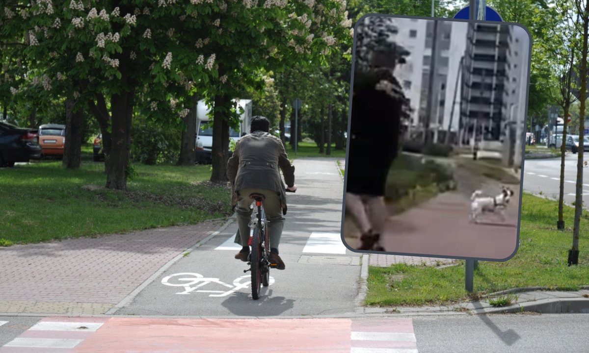 Z premedytacją wjechał w psa na drodze dla rowerów. Nagranie łamie serce