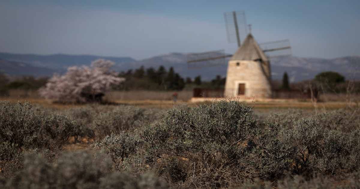 L'agriculture française «joue au pompier» face au climat, alerte le Haut conseil
