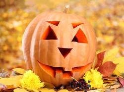 Radny z PiS przeciwko Halloween. Zwyczaj "pogański i satanistyczny"