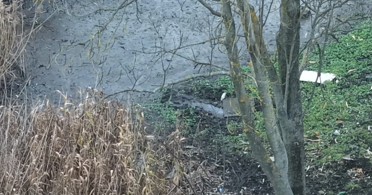 Ponury widok pośród gęstej roślinności. Makabryczne odkrycie pod Pruszkowem