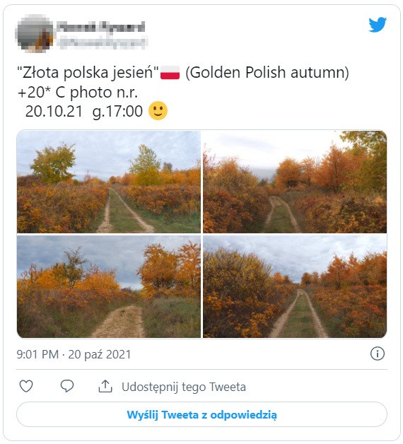 Złota polska jesień