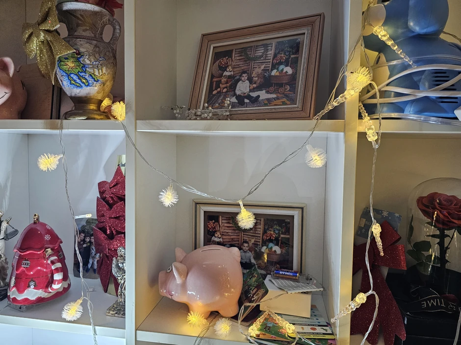 Porodica Maje i Alena Hadrovića