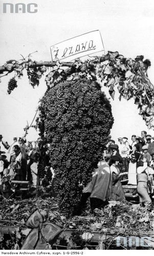 Zaleszczyki - polski biegun ciepła