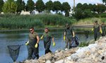 Skażona Odra zagraża nie tylko rybom. Coraz częściej mówi się też o tym problemie [ZDJĘCIA I WIDEO]