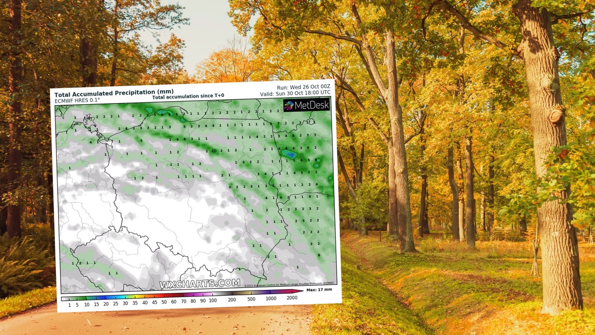 Bomba ciepła zmierza do Polski. Temperatura bliska rekordom