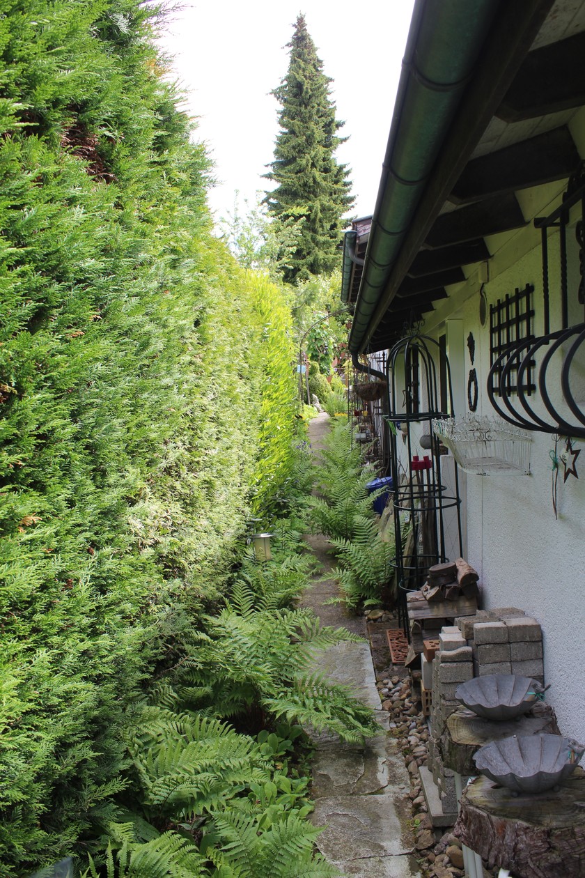 Un jour, un enfant avait dit que certaines parties du jardin de Margrit et d’Andrea ressemblaient «à une jungle». 