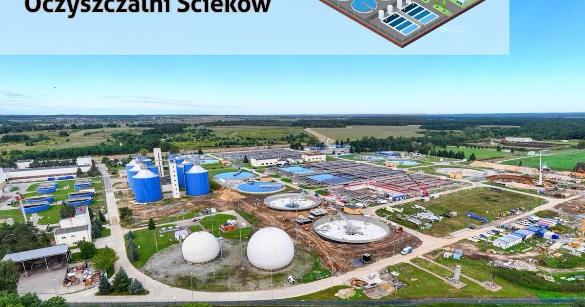 Gigantyczna inwestycja w ekologię. Wrocław coraz bardziej zielony!