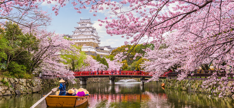 Polacy latają oglądać kwitnące wiśnie w Japonii