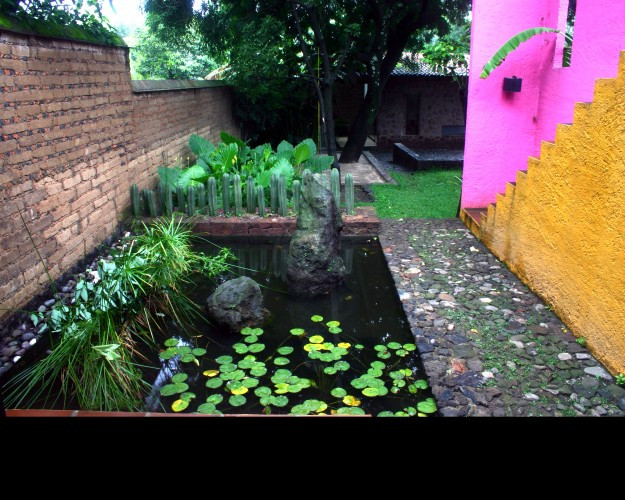 Przydomowy ogród w Meksyku