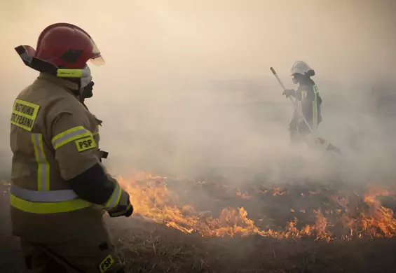"Pożar jest sprawą narodową i co najmniej pół Polski wie, jak go ugasić"