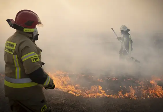 "Pożar jest sprawą narodową i co najmniej pół Polski wie, jak go ugasić"