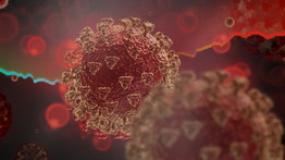 Koronavírus: Belgiumban is aggasztó a helyzet – Ennyinél tart a megbetegedések napi száma