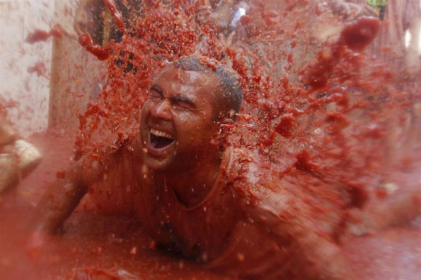 tomatina 2011