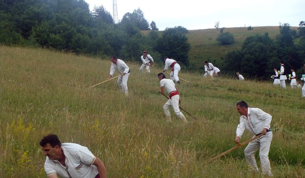 kosidba balkana mrkonjic grad