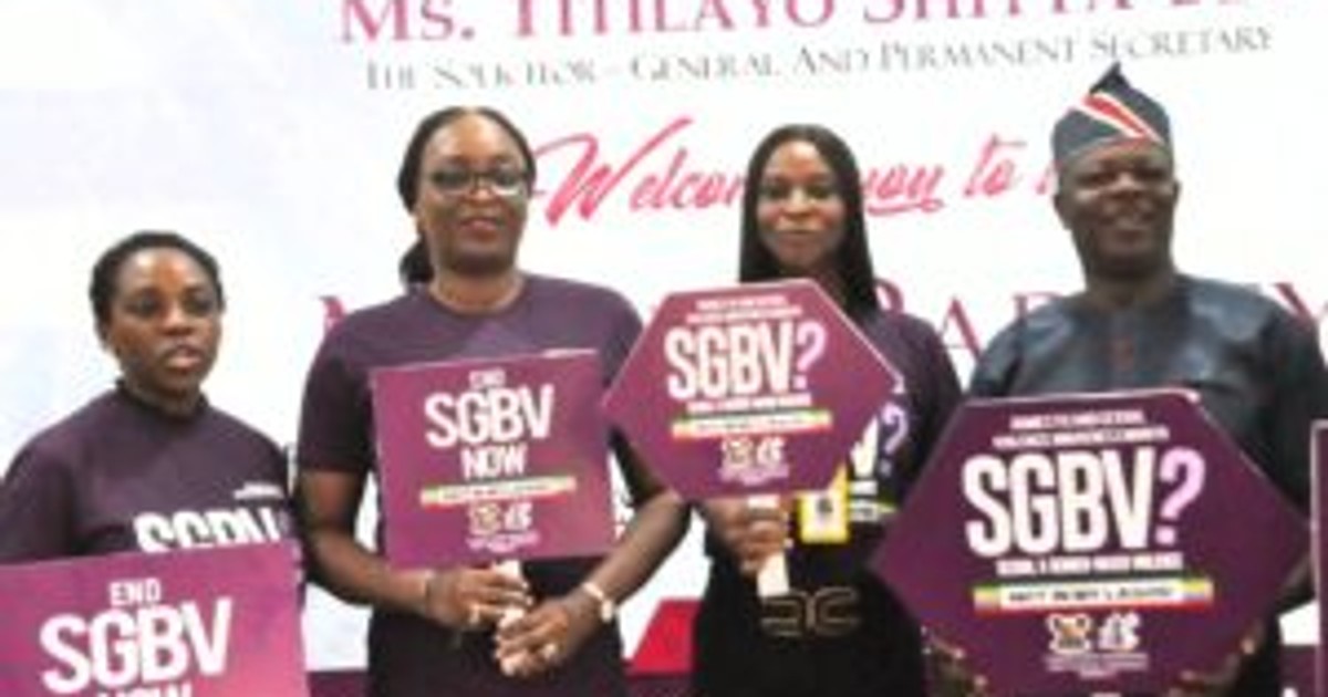 Lagos govt receives 5,624 sexual, GBV cases in 1 year - Vimarsana News