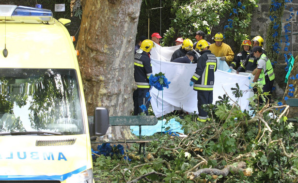 Tragedia na Maderze. Drzewo upadło na ludzi, którzy mieli wziąć udział w procesji