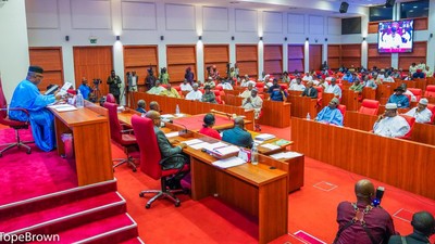 Nigerian senators [Tope Brown]