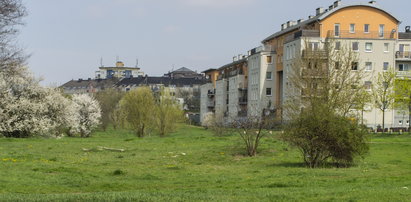 Naramowice doczekają się targowiska?