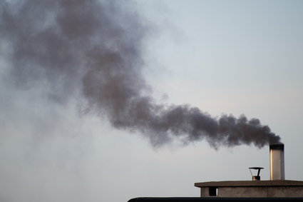 Flagowy program rządu walki ze smogiem przynosi "nikłe efekty"